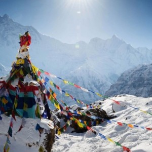 News image Nepal Dag / NFN Congress 2025, 20 sept, 10:00am - 05:30pm, Amsterdam